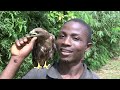 Liberia Tourism, West Africa - Unravel Travel TV