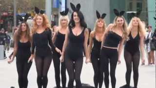 A primeira flash mob do mundo com coelhinhas… lindo