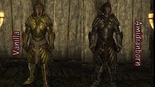 skyrim amidianborn armor glitches