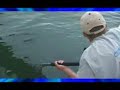 Giant 600 Pound Goliath Bass Breaks Rod. Funny Fail Win
