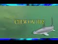 Giant 600 Pound Goliath Bass Breaks Rod. Funny Fail Win