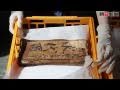 被災の古文書、世界最大の乾燥機で再生