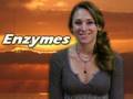 Digestion and Enzymes Enzymes and Health