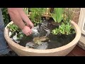 Aquascape's Patio Pond How To - 2012
