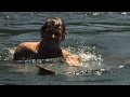 Sheckler Sessions - Ramp Camp Adventures - Episode 2