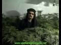 Jorge Cervantes Ultimate Grow DVD 1 Part 1 - Learn How To Grow Marijuana