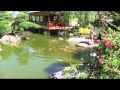 10-12-27 Senga's Vlog - How Do You Design a Japanese Garden ...