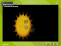 Nuclear Reactor