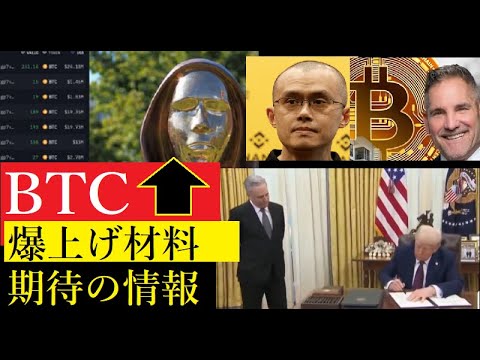 仮想通貨市場の回復兆しとトランプ署名の話題 サムネイル