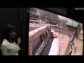145-inch Ultra High Definition plasma display #DigInfo