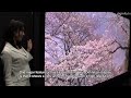 145-inch Ultra High Definition plasma display #DigInfo