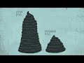 The Hidden Costs of Hamburgers