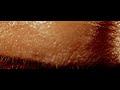 VIDEO, LETRA Y TRADUCCION VIDEO, LETRA Y TRADUCCION