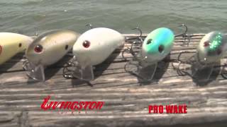 Wakebait Tricks to Catch Bigger Bass 