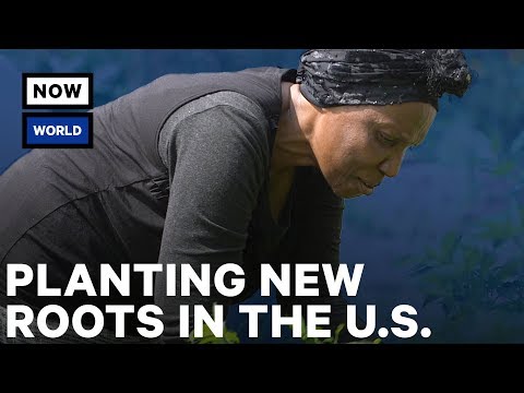 Planting New Roots in the U.S. | NowThis World