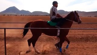Carreras de caballos en Felipe Carrillo Puerto (Carrillo Puerto) (Loreto, Zacatecas)