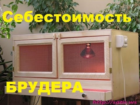 Брудер для индюшат своими руками Брудер для индюшат своими руками