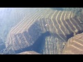 9.激重ミノーを作るぞ!! (スイムテストその3) Test of the heavy weight fishing lure