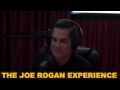 JRE #408 - Todd Glass