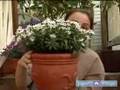 Tips on Garden Planters, Pots, & Flower Boxes : How to Select the ...
