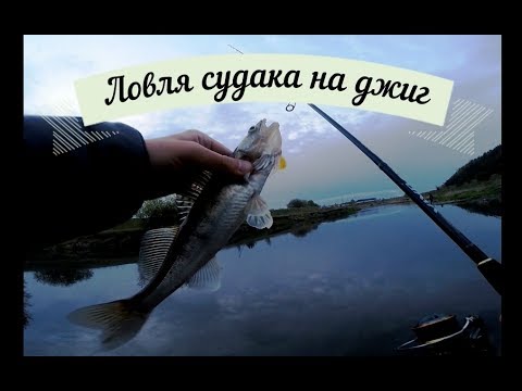ловля судака на спининг как и чем ловля судака на спининг как и чем
