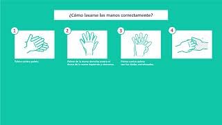 7 pasos para una correcta higiene de manos