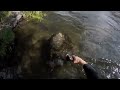 An Epic Day Fly Fishing the Deschutes - one of two movies from a great day on the Deschutes River