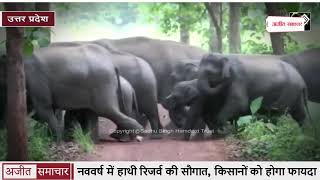video : Uttar Pradesh : नववर्ष में Elephant Reserve की सौगात, Farmers को होगा Benefit