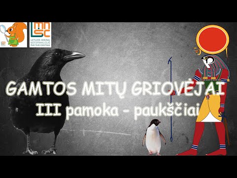 LMNŠC pamokų ciklas „Gamtos mitų griovėjai“. Paukščiai