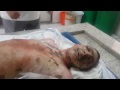 جثمان الشهيد احمد عبدالامير ممد على المغتسل - السنابس 30-11-2013