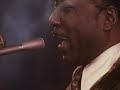 Muddy Waters plays