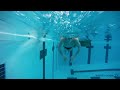 Butterfly Swimming Technique - How to swim butterfly