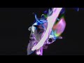 VIDEO, LETRA Y TRADUCCION VIDEO, LETRA Y TRADUCCION