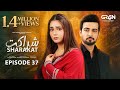 Sharakat Episode 37 (Subtitles) 8th August 2025  Sumaiyya Bukhsh - Danial Afzal Khan  Green TV