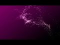 Zedd - Spectrum (Lyric Video) ft. Matthew Koma