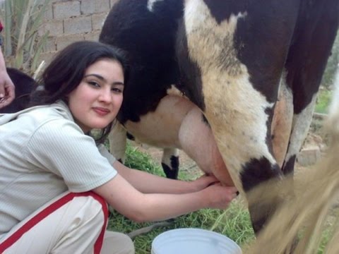 مواقف مضحكة ومؤلمة ومحرجة جديد 2016 - صوت وصوره لايف