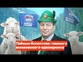 Тайные богатства главного московского единоросса
