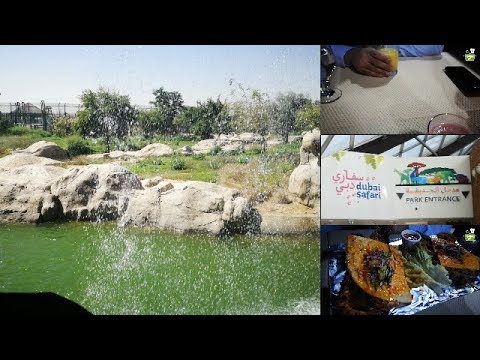 احتفلت بيوم زواجي💍 على السفينة/سفاري دبي🦍/فلوق