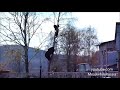 Bear Chases Man Up a Tree