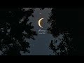 Launch Mini Player