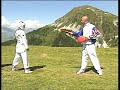Taekwondo - Techniques de coups de pieds
