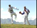 Taekwondo - Techniques de coups de pieds