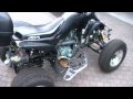 Bashan BS200