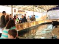 Gulf World Marine Park