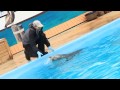 Gulf World Marine Park