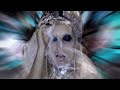 Lady Gaga - Born This Way