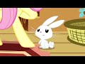 The Best of Fluttershy
