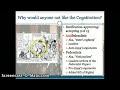 Ratification & Madisonian Model