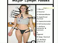 Lymph Nodes (Major)