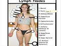 Lymph Nodes (Major)